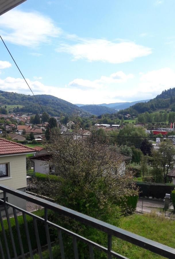 Appart Vosges Fresse-sur-Moselle エクステリア 写真